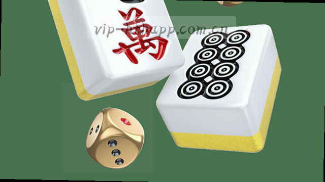 专业支持，随时响应。